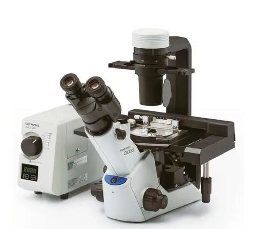 奥林巴斯OLYMPUS显微镜